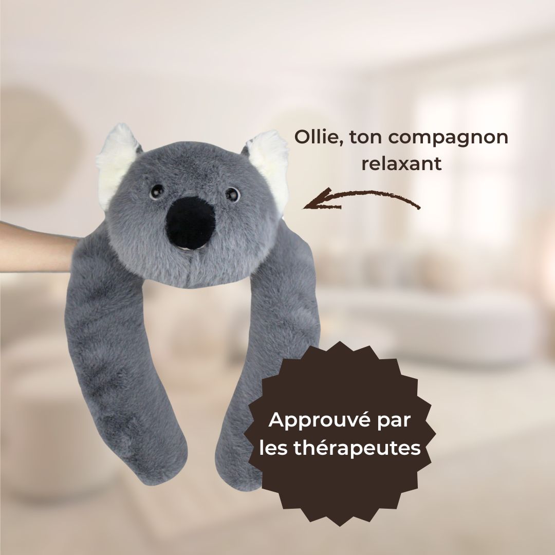 Votre compagnon réconfort